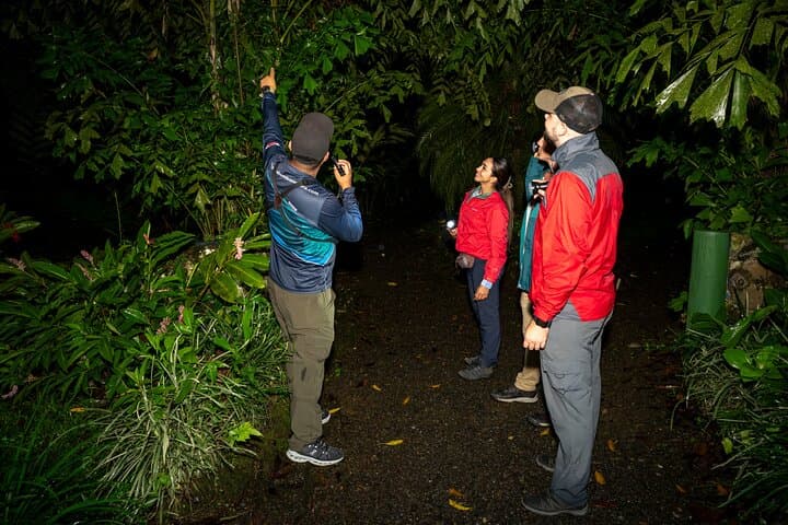 Night Hike at Arenal Mundo Aventura — La Fortuna Nocturnal Wildlife Tour photo 6