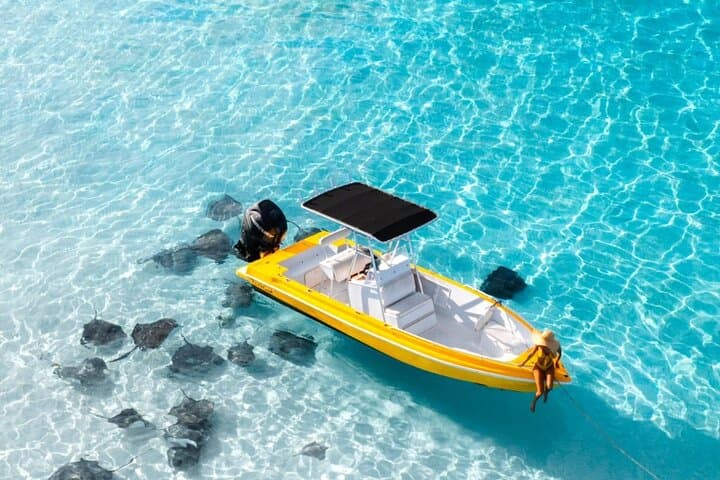 Stingray City, Rum Point & Bioluminescent Bay — Private 4-Hour Boat Tour, Grand Cayman photo 1