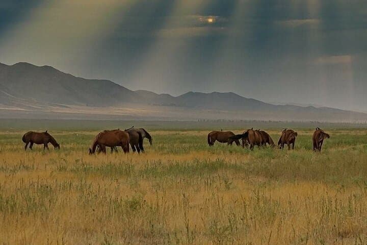 48-Hour Issyk-Kul & Karakol Ski Adventure: Burana, Petroglyphs & High-Mountain Runs photo 3