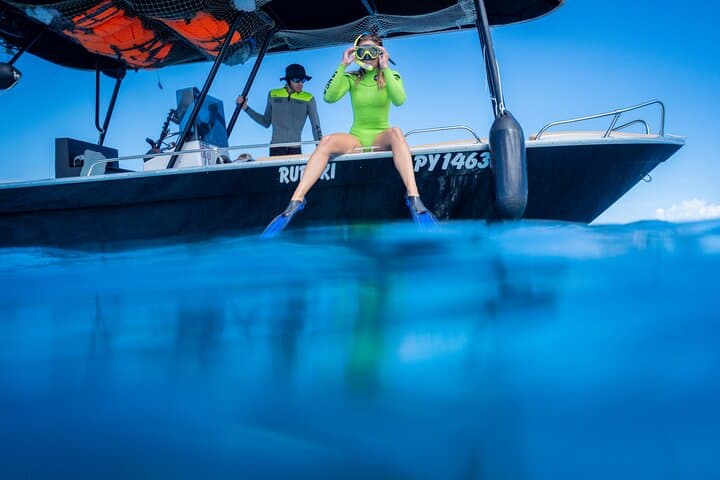 Ethical Small-Group Whale Watching and Swim — Tahiti (Papeete Marina) photo 3