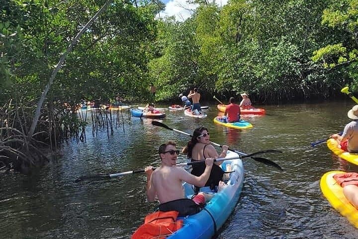 Fort Lauderdale Manatee Encounter: Eco Kayak & Paddle Board Adventure