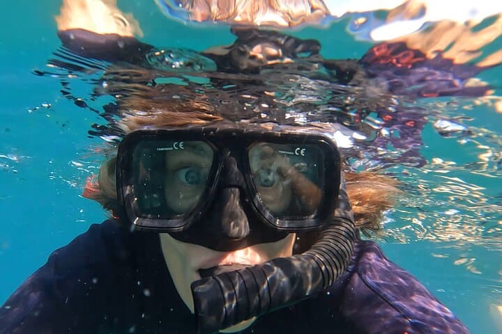 La Paz Whale Shark Snorkel: Small-Group Encounters with More Time in the Water photo 5