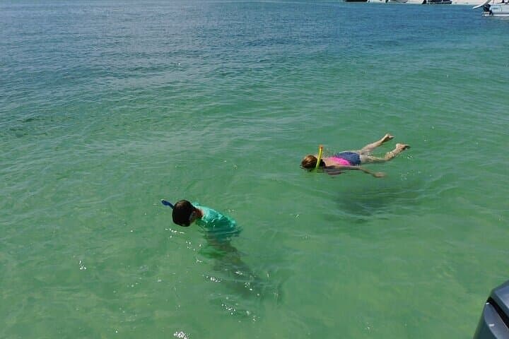 Sarasota 2-Hour Dolphin and Sightseeing Private Boat Charter photo 2