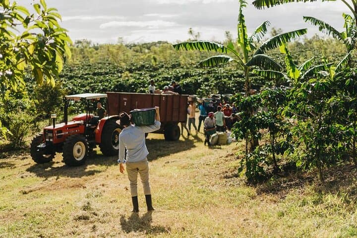 Coffee, Craters & Waterfalls: Poás Volcano, Doka Coffee & La Paz Day Tour photo 2