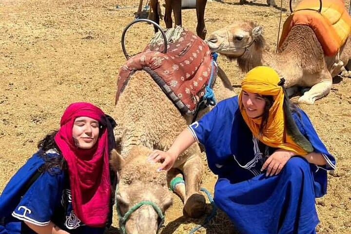 Quad and Camel Ride in Marrakech Palmeraie: 2-Hour Adventure with Mint Tea & Photo Stops photo 5