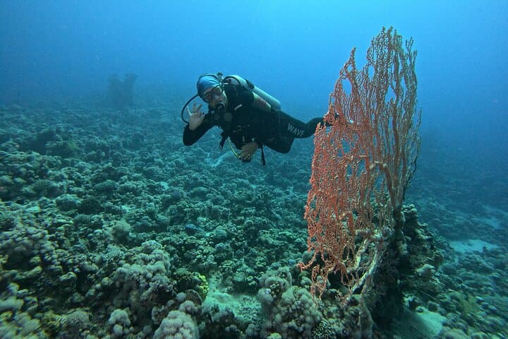 Intro to Scuba in Aqaba: First Dive on the Red Sea Reefs photo 2