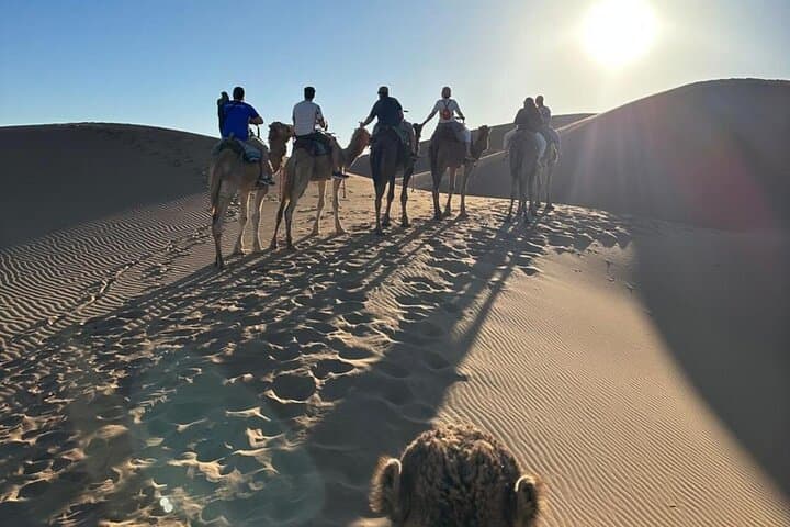 Overnight in Erg Chegaga: Camel Sunset & Nomad Camp from Foum Zguid