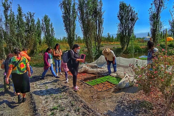 Canoeing Xochimilco's Chinampas: Ajolotes, Nahuatl Traditions & Canal Lunch