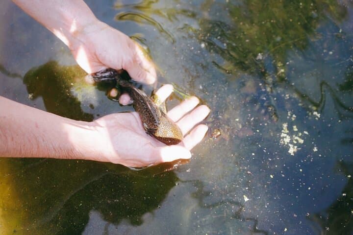 Canoeing Xochimilco's Chinampas: Ajolotes, Nahuatl Traditions & Canal Lunch photo 2
