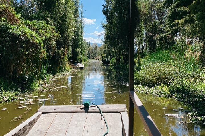 Canoeing Xochimilco's Chinampas: Ajolotes, Nahuatl Traditions & Canal Lunch photo 3