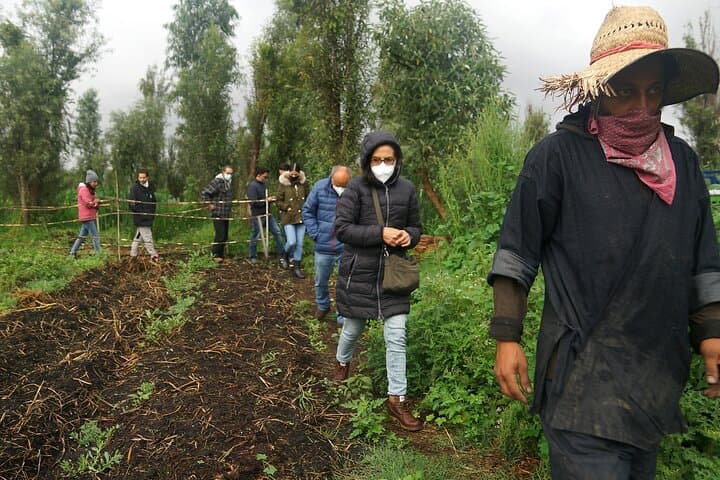 Canoeing Xochimilco's Chinampas: Ajolotes, Nahuatl Traditions & Canal Lunch photo 4