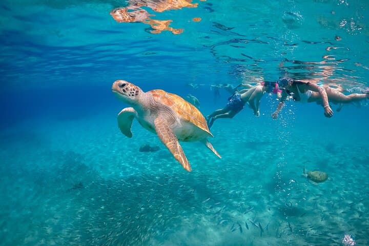 Hato Caves, Turtle Snorkel & Kenepa Beach — Curaçao West Coast Day Tour photo 2
