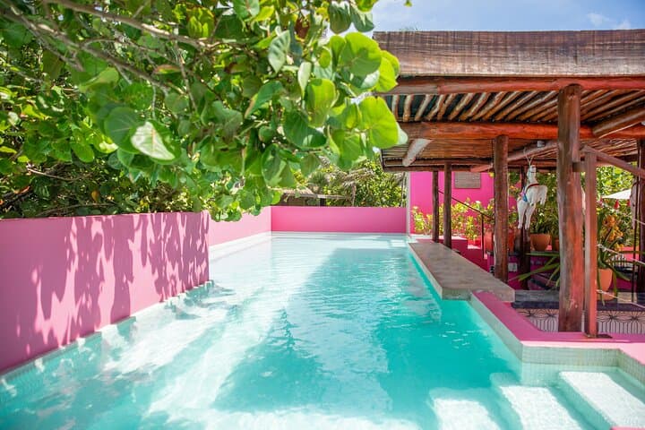 La Zebra Beach Club Experience in Tulum: Beach Beds, Rooftop Views & Coastal Cuisine photo 2