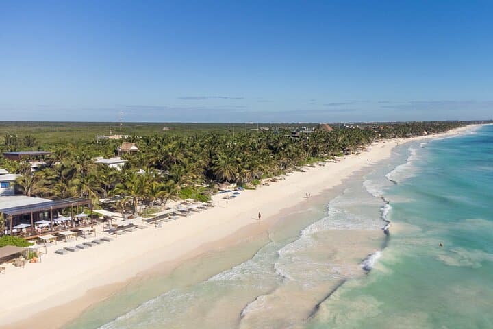 La Zebra Beach Club Experience in Tulum: Beach Beds, Rooftop Views & Coastal Cuisine photo 4