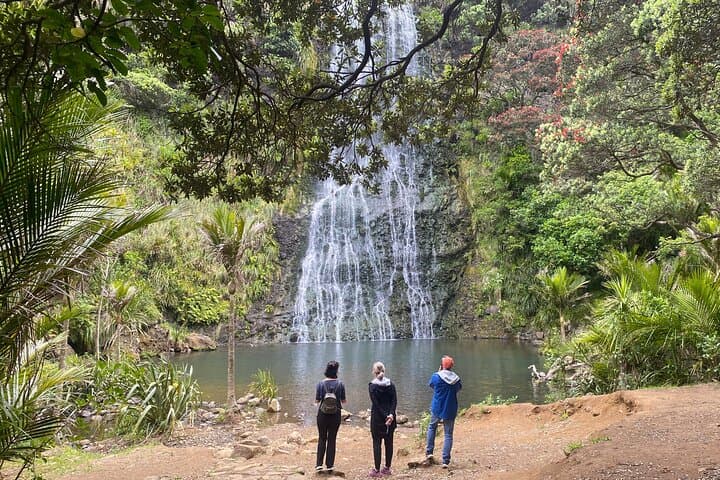 Auckland Full-Day Sightseeing Tour: Volcano Views, West Coast Beaches & Devonport photo 6