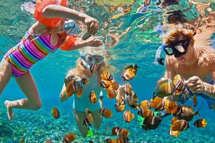 Nha Trang Island Escape: Snorkeling, Floating Bar & Hon Tre Lunch photo 6