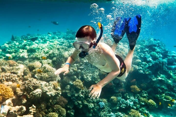 Snorkel Hon Mun: Half-Day Hidden Reefs of Nha Trang Bay photo 3