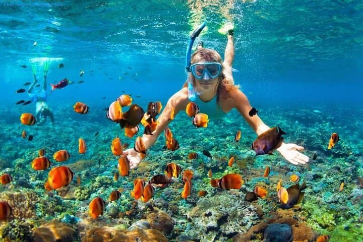 Nha Trang Island Escape: Snorkeling, Floating Bar & Hon Tre Lunch