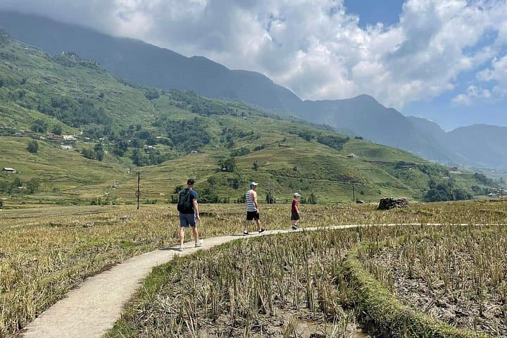 Private Sapa Trek: Rice Terraces & Village Life in Muong Hoa Valley (Half-Day) photo 4