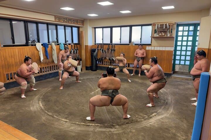 Inside Tokyo's Morning Sumo Training: Observe an Authentic Stable Session photo 5