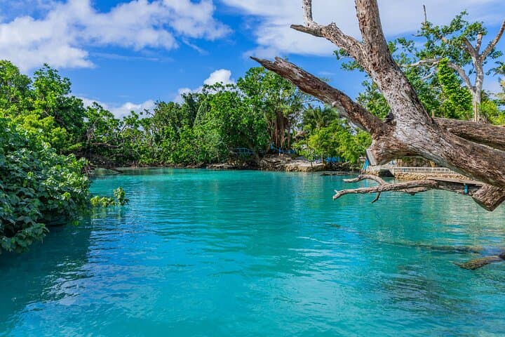 Port Vila Private Shore Tour: Blue Lagoon, Turtle Sanctuary & Waterfall Escape