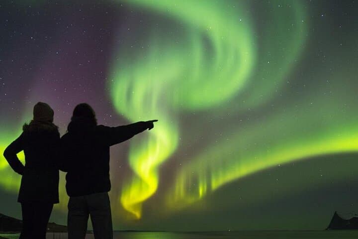 Chase the Aurora: Reykjavík Northern Lights Bus with Hot Chocolate