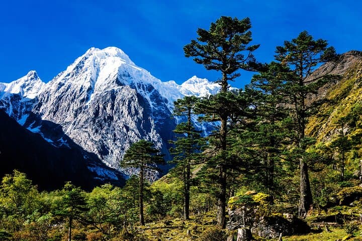 Summit of Silence: 9-Day Meili North Face Pass Trek to Ciding Pass (5,200m) photo 4