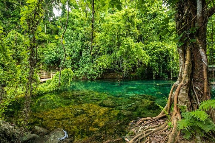 Port Vila Private Shore Tour: Blue Lagoon, Turtle Sanctuary & Waterfall Escape photo 5
