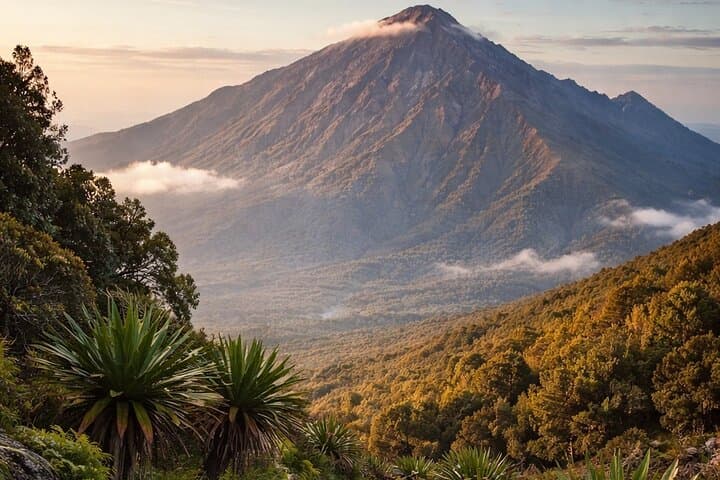 Mount Meru Multi-Day Trek: Guided Summit to Socialist Peak from Moshi or Arusha