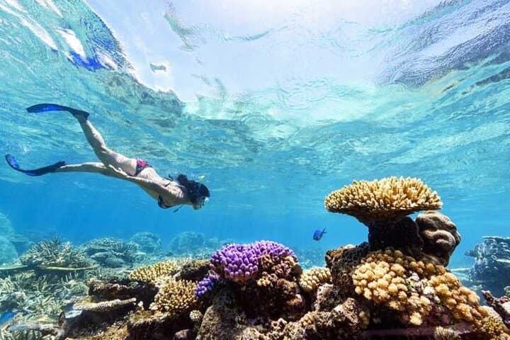 Tiran Island Coral Reefs Snorkeling — 3-Stop Red Sea Adventure from Sharm El Sheikh photo 1