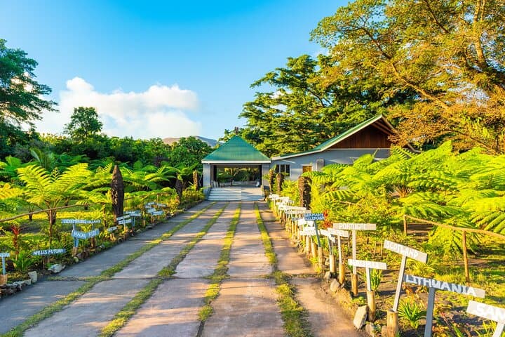 Vanuatu Island Discovery: Full-Day Private Shore Tour from Port Vila photo 2