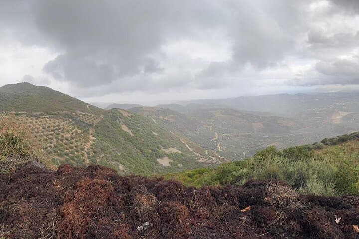 White Mountains Off-Road Expedition from Chania: 4x4 Trails, Ancient Olive Trees & Xyloskalo Views photo 2