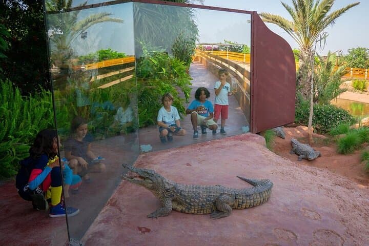 Agadir Morning: Crocoparc and Tree-Climbing Goats Tour photo 2