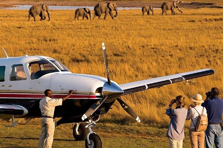 Fly-In Maasai Mara 4-Day Private Safari from Nairobi: Game Drives & Tent Camp photo 3