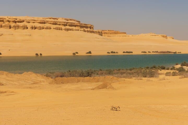 Private El Fayoum Oasis and Wadi Rayan Waterfall Day Tour photo 3