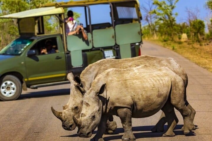 Tala Game Reserve, Natal Park & Victoria Market: Full-Day Safari and Cultural Tour from Durban photo 3