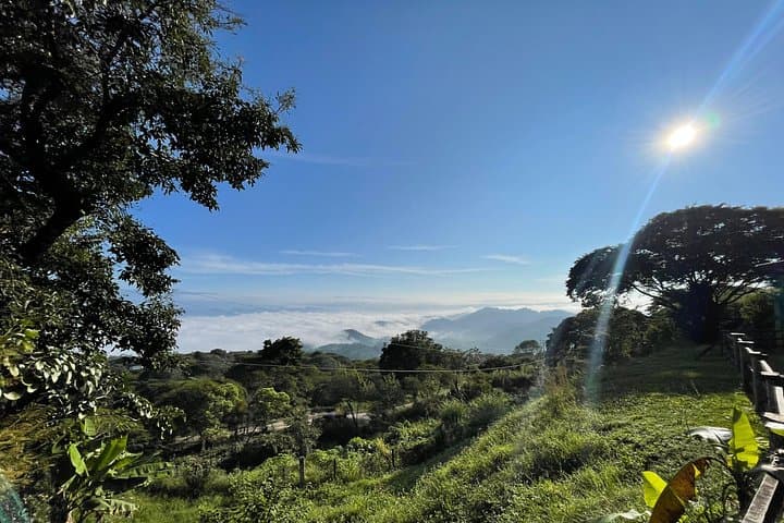 Overnight Palenque Expedition: Agua Azul, Roberto Barrios & Jungle Ruins photo 2