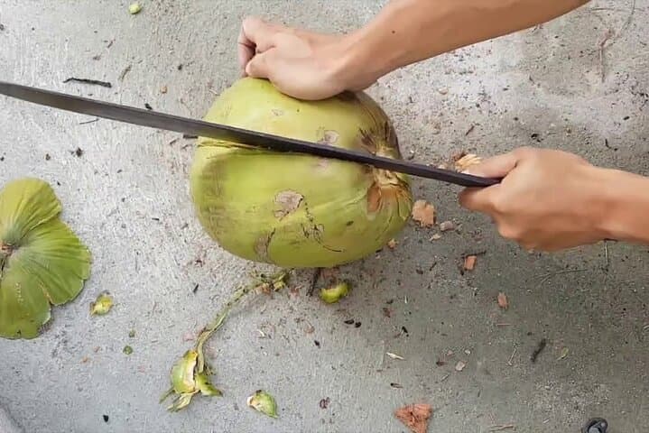 Roatán Coconut Traditions, Responsible Wildlife Park & Brady’s Cay Beach Escape photo 6