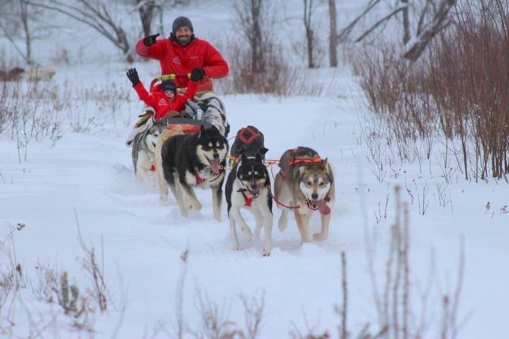 Dogsledding Valley Adventure in the Laurentians — Mont-Tremblant Husky Trail photo 3