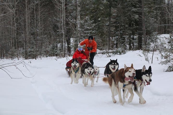 Dogsledding Valley Adventure in the Laurentians — Mont-Tremblant Husky Trail