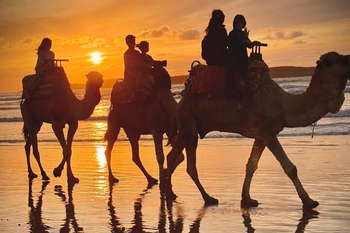 Camel Ride in Essaouira: Beach & Diabat Dunes Tour with Khalid