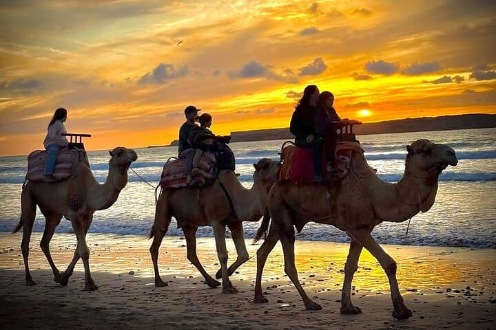Camel Ride in Essaouira: Beach & Diabat Dunes Tour with Khalid photo 2