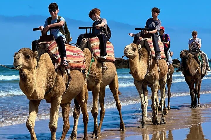 Camel Ride in Essaouira: Beach & Diabat Dunes Tour with Khalid photo 4