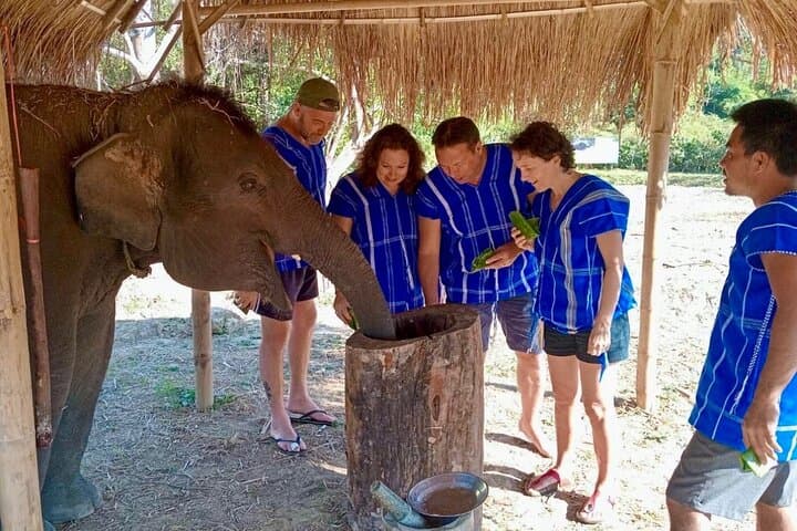 Chiang Mai Elephant Camp: 2-Day Trek, Bamboo Canoes & Waterfalls