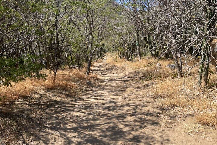 Ride a Can-Am to Fox Canyon & Sol de Mayo Waterfall — Private VIP Baja UTV Tour photo 5