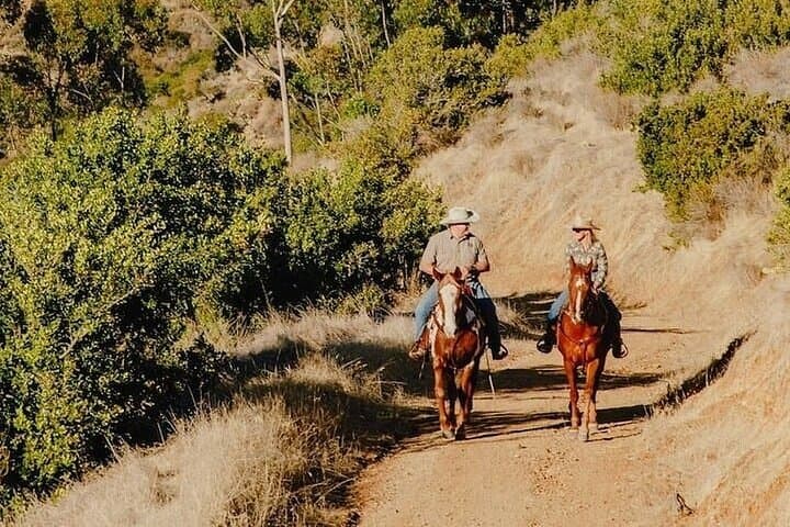 Two-Hour Horseback Ride Above Avalon — Catalina Island Trails & Ocean Views photo 3