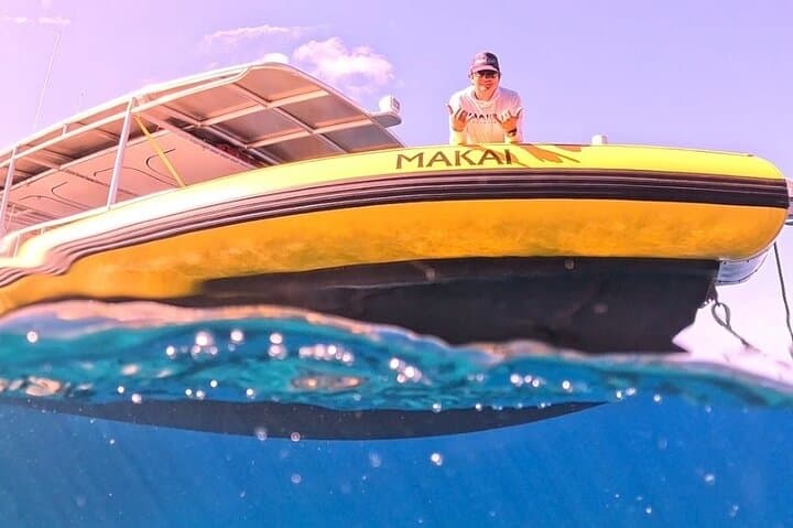 Small-Group Whale Watching Adventure in Lahaina, Maui photo 3