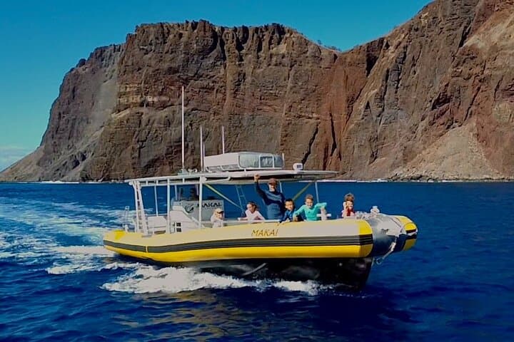 Small-Group Whale Watching Adventure in Lahaina, Maui photo 6