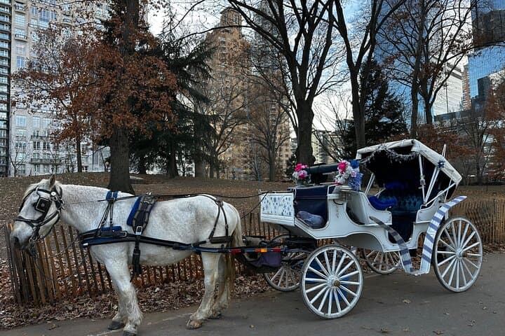 Central Park Daytime Carriage Ride — Classic Horse-Drawn Tour in NYC photo 1