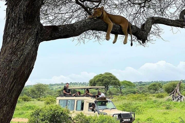 4-Day Tarangire, Serengeti & Ngorongoro Big Five Safari from Arusha photo 3